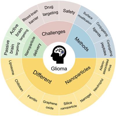 Progress of nanoparticle drug delivery system for the treatment of glioma